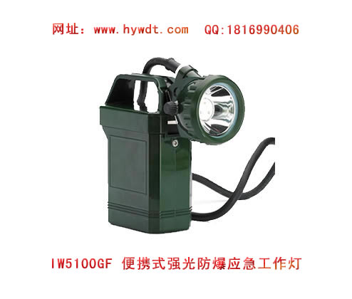 乐清海洋王IW5100GF便携式强光防爆应急工作灯