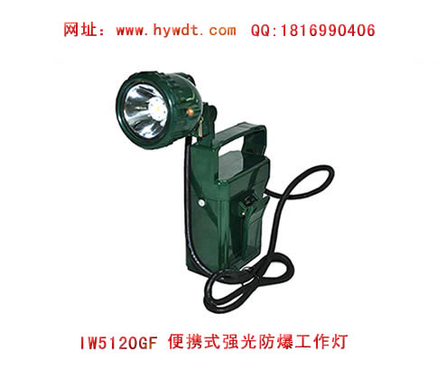 乐清海洋王IW5120GF便携式强光防爆工作灯(绿壳款）